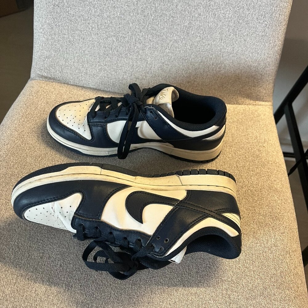Nike Dunk Low Next Nature in Olympic, Women's Sneaker